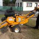 Stump Grinding / Removal